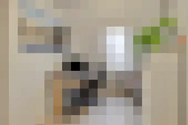 Sperwer 44 Sommelsdijk thumbnail 25
