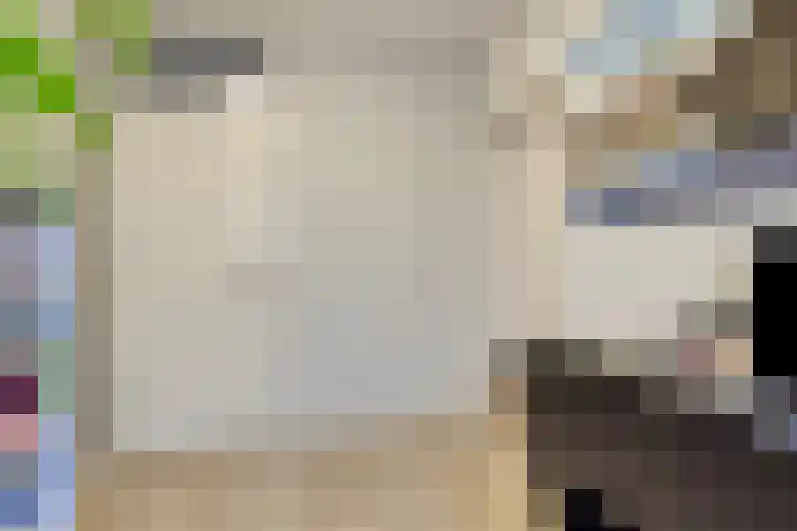 Sperwer 44 Sommelsdijk thumbnail 26