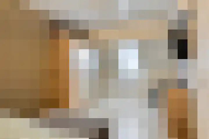 Sperwer 44 Sommelsdijk thumbnail 29