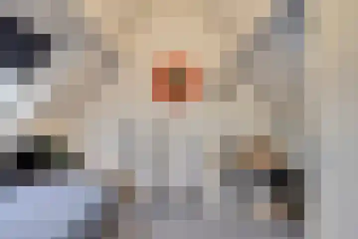 Sperwer 44 Sommelsdijk thumbnail 30