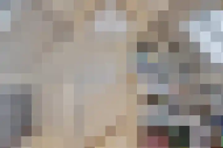 Sperwer 44 Sommelsdijk thumbnail 32