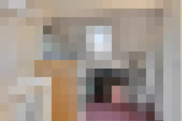 Sperwer 44 Sommelsdijk thumbnail 33