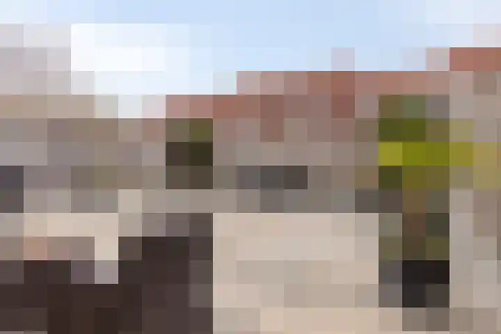 Sperwer 44 Sommelsdijk thumbnail 35