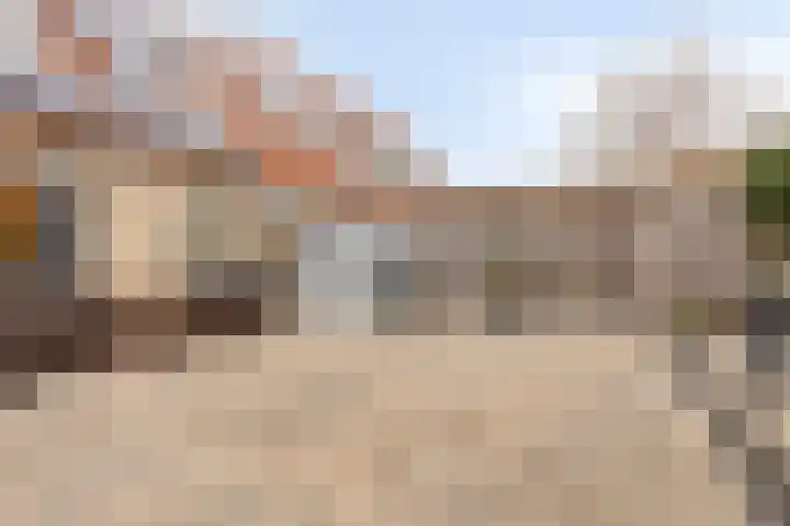 Sperwer 44 Sommelsdijk thumbnail 38