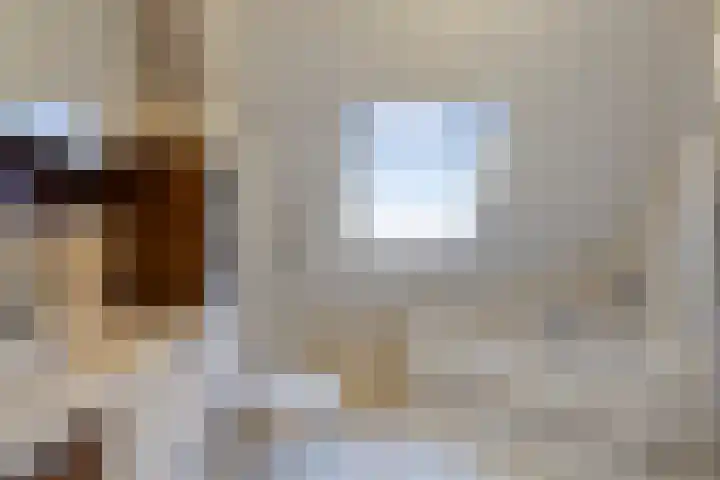 Sperwer 44 Sommelsdijk thumbnail 4
