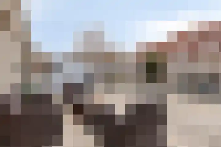 Sperwer 44 Sommelsdijk thumbnail 5