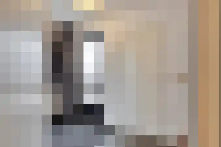 Sperwer 44 Sommelsdijk thumbnail 6