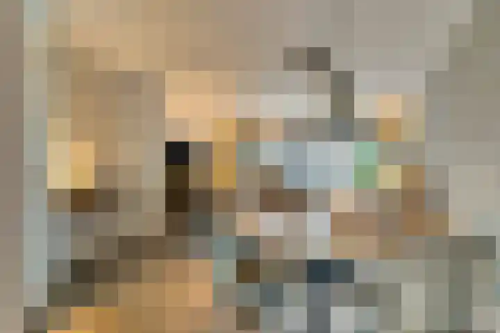 Sperwer 44 Sommelsdijk thumbnail 9
