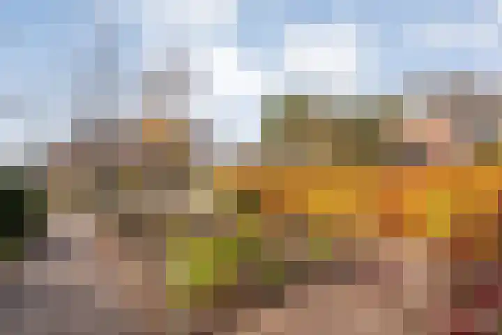Sperwer 50 Ommen thumbnail 10