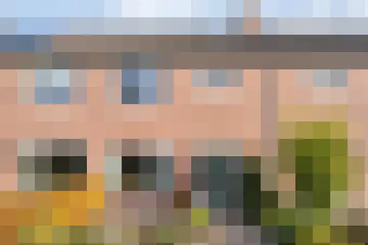 Sperwer 50 Ommen thumbnail 11