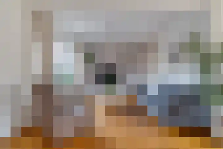 Sperwer 50 Ommen thumbnail 13