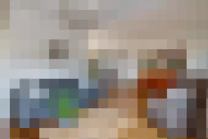 Sperwer 50 Ommen thumbnail 14