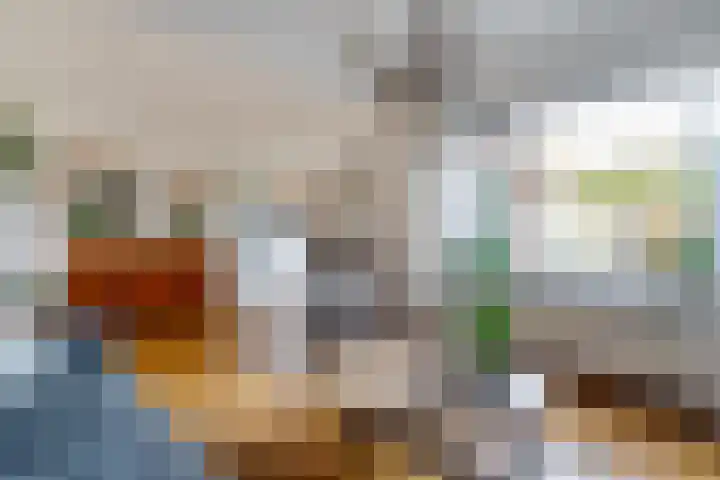 Sperwer 50 Ommen thumbnail 15