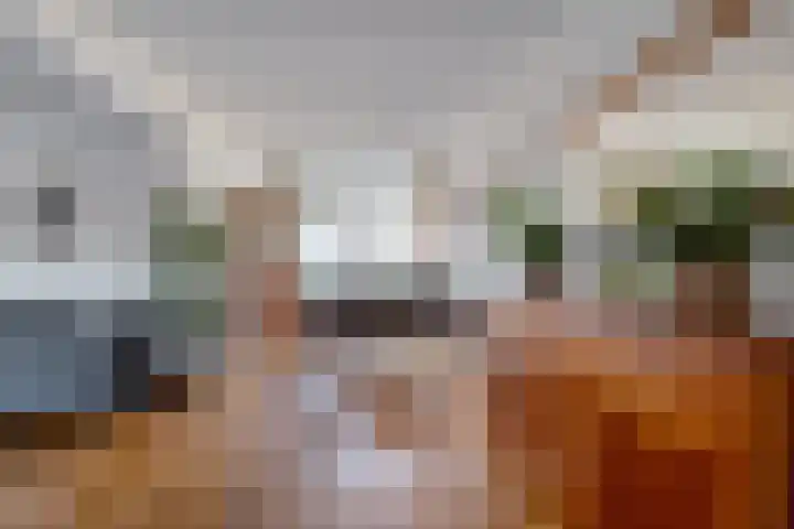 Sperwer 50 Ommen thumbnail 16