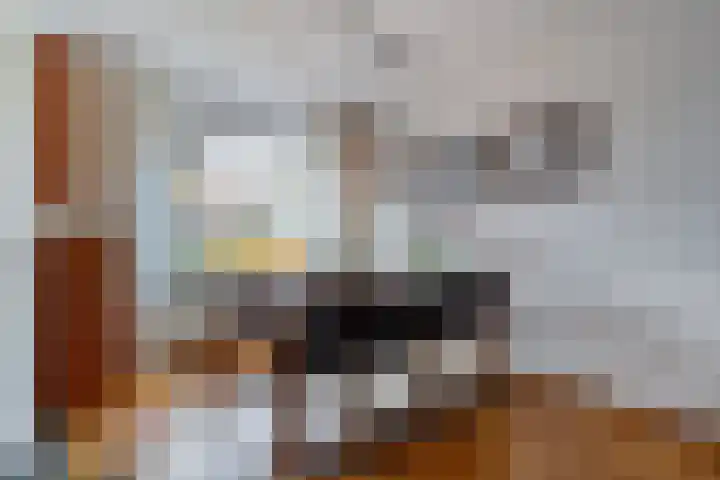 Sperwer 50 Ommen thumbnail 17