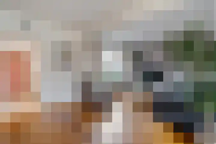 Sperwer 50 Ommen thumbnail 18