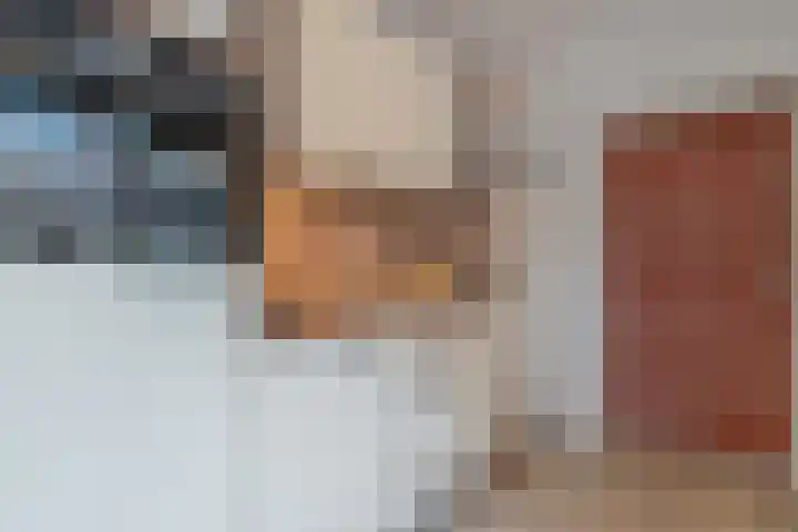 Sperwer 50 Ommen thumbnail 19