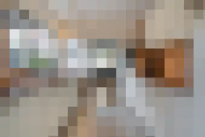 Sperwer 50 Ommen thumbnail 21