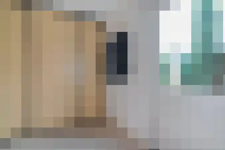 Sperwer 50 Ommen thumbnail 22