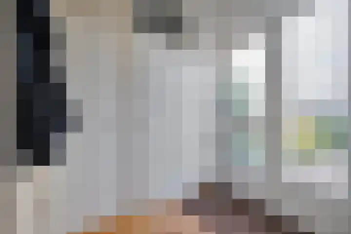 Sperwer 50 Ommen thumbnail 25