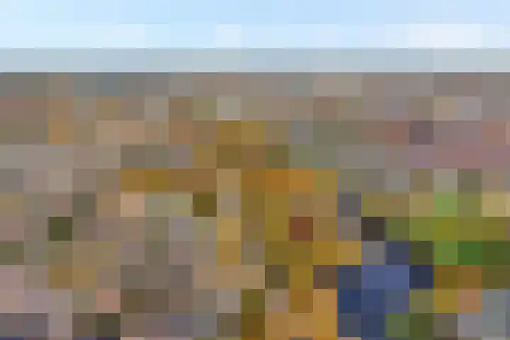 Sperwer 50 Ommen foto 3