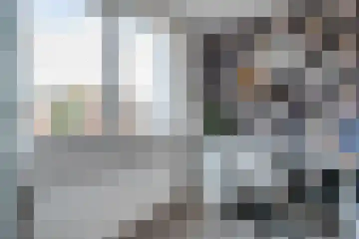 Sperwer 50 Ommen thumbnail 31