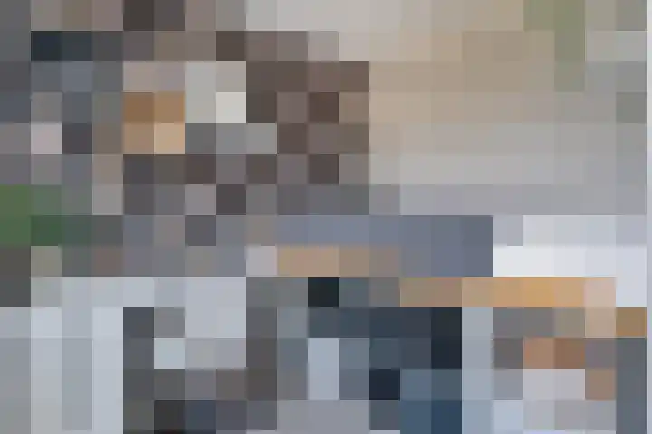 Sperwer 50 Ommen thumbnail 32
