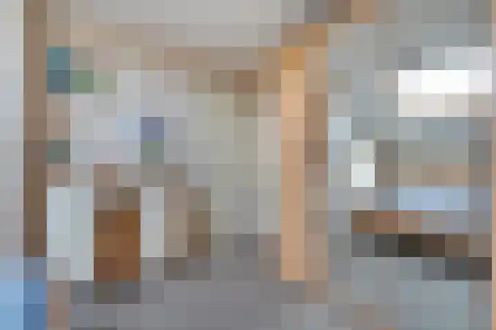 Sperwer 50 Ommen thumbnail 36