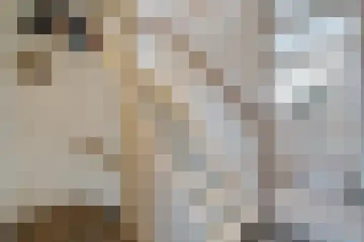 Sperwer 50 Ommen thumbnail 37