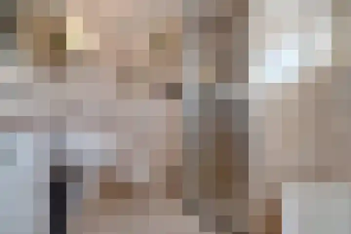 Sperwer 50 Ommen thumbnail 38