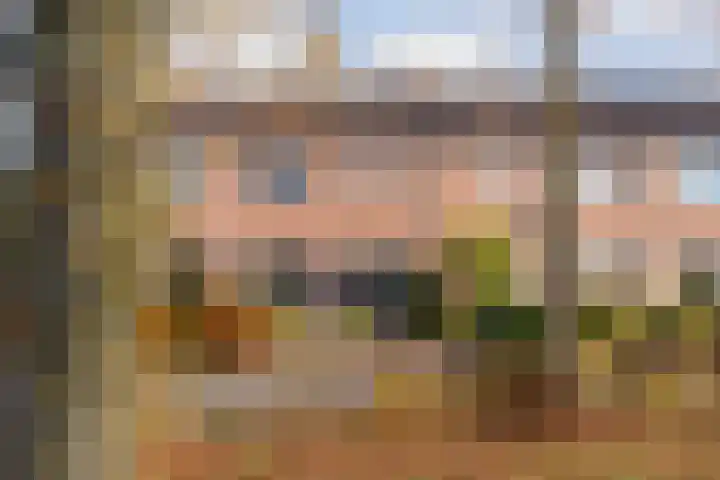 Sperwer 50 Ommen thumbnail 4