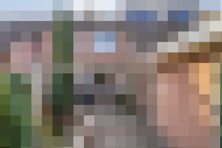 Sperwer 50 Ommen thumbnail 46