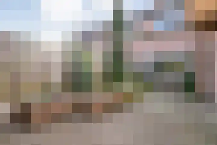 Sperwer 50 Ommen thumbnail 47