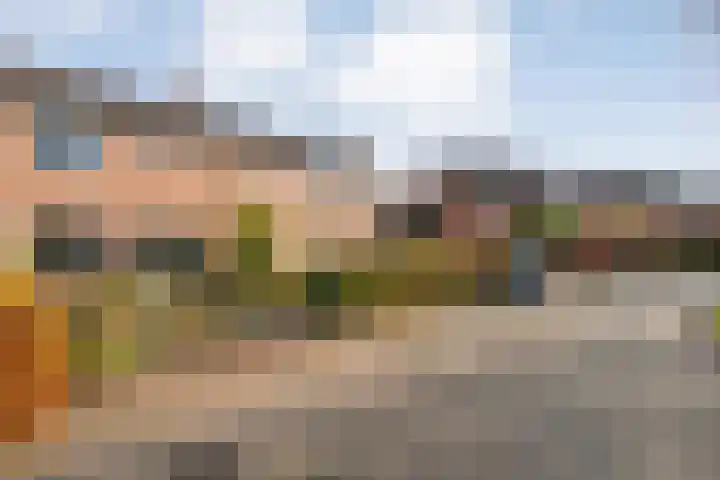 Sperwer 50 Ommen thumbnail 5