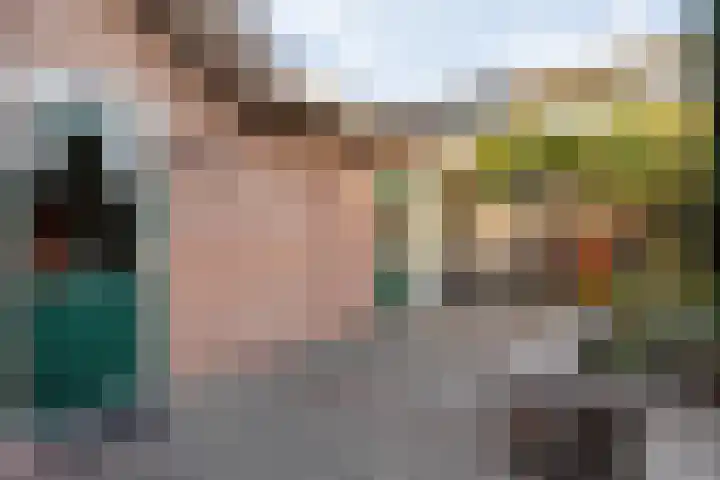 Sperwer 50 Ommen thumbnail 50