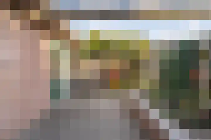 Sperwer 50 Ommen thumbnail 51