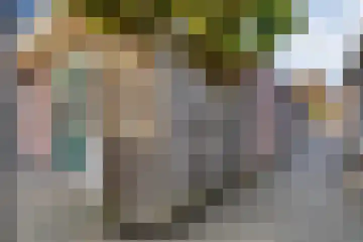 Sperwer 50 Ommen thumbnail 52