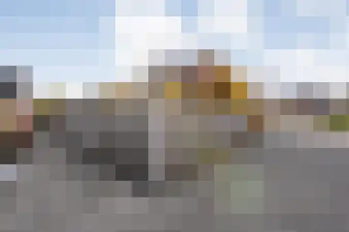Sperwer 50 Ommen thumbnail 53
