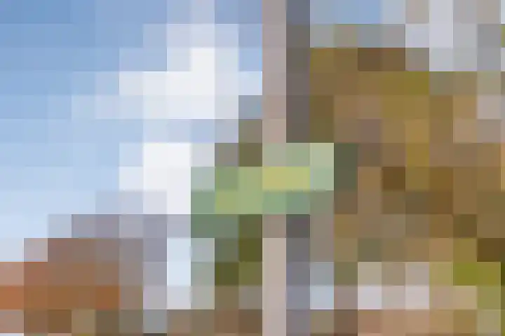 Sperwer 50 Ommen thumbnail 7