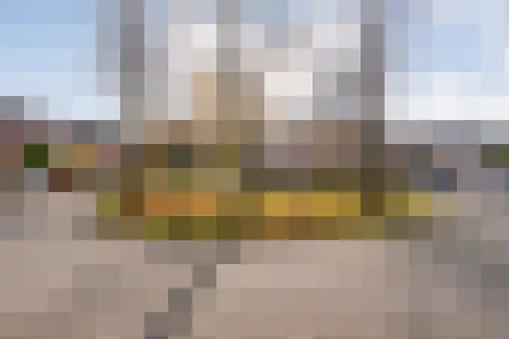 Sperwer 50 Ommen thumbnail 8