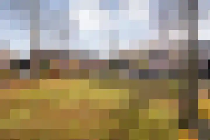 Sperwer 50 Ommen thumbnail 9