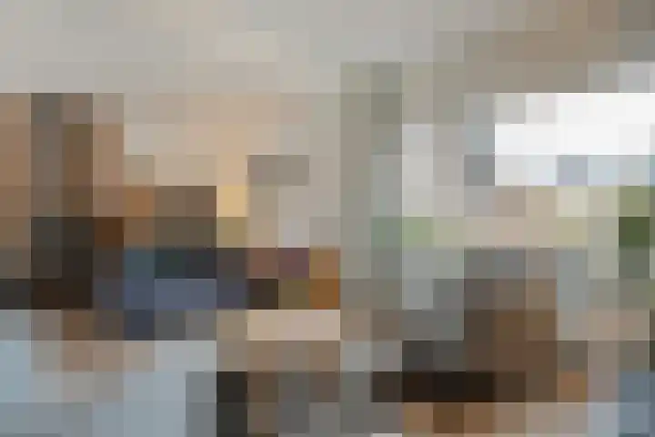 Sperwer 57 Ommen foto 2