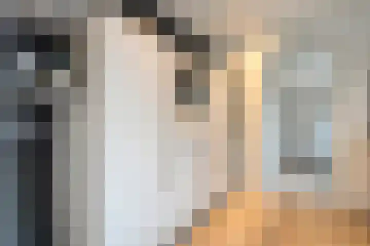 Sperwer 57 Ommen thumbnail 21