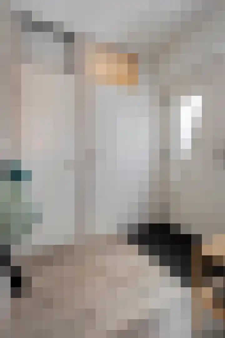 Sperwer 57 Ommen thumbnail 25