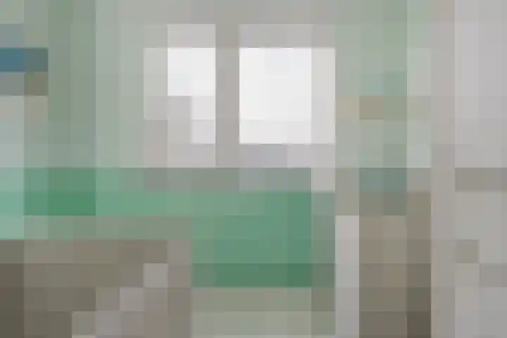Sperwer 57 Ommen thumbnail 32