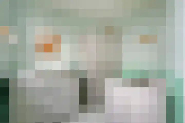 Sperwer 57 Ommen thumbnail 33