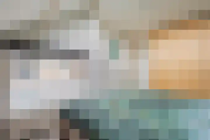 Sperwer 57 Ommen thumbnail 35