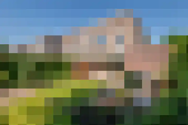 Sperwer 57 Ommen thumbnail 44