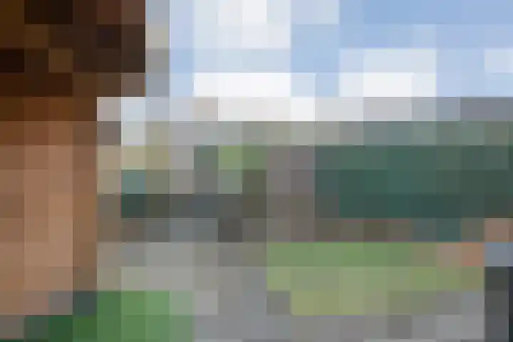 Sperwer 57 Ommen thumbnail 47