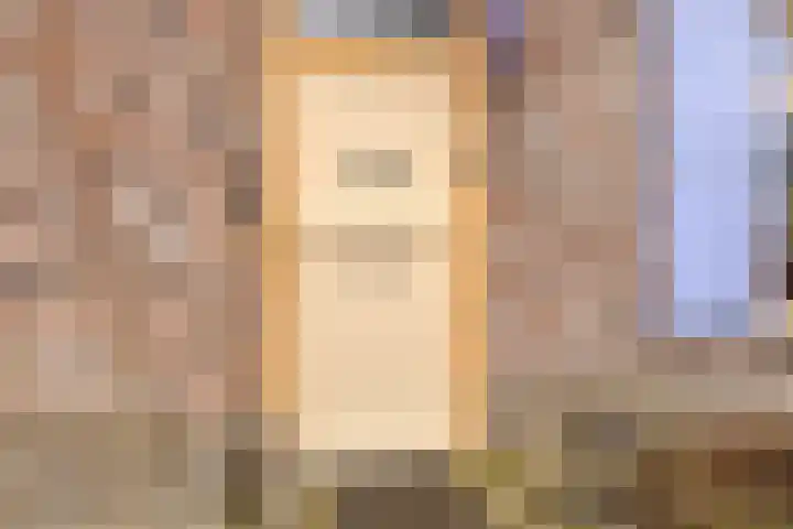 Sperwer 57 Ommen thumbnail 48